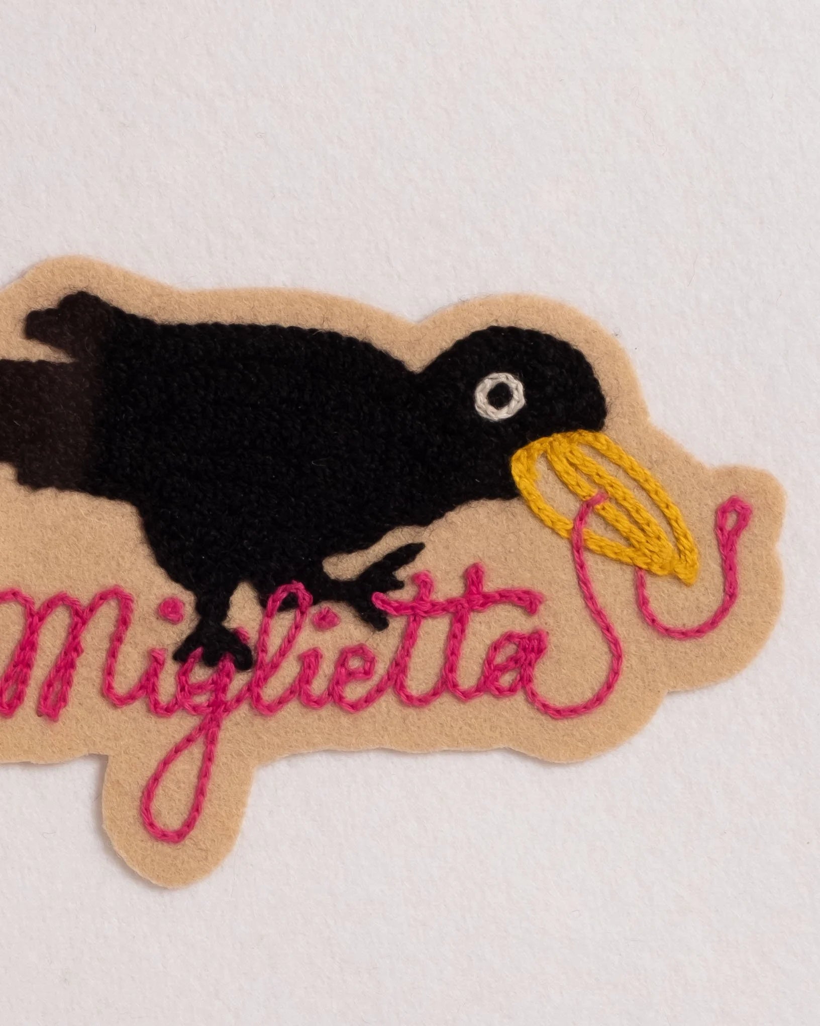 Wiggly-worm Catching Crow - Framed Embroidery
