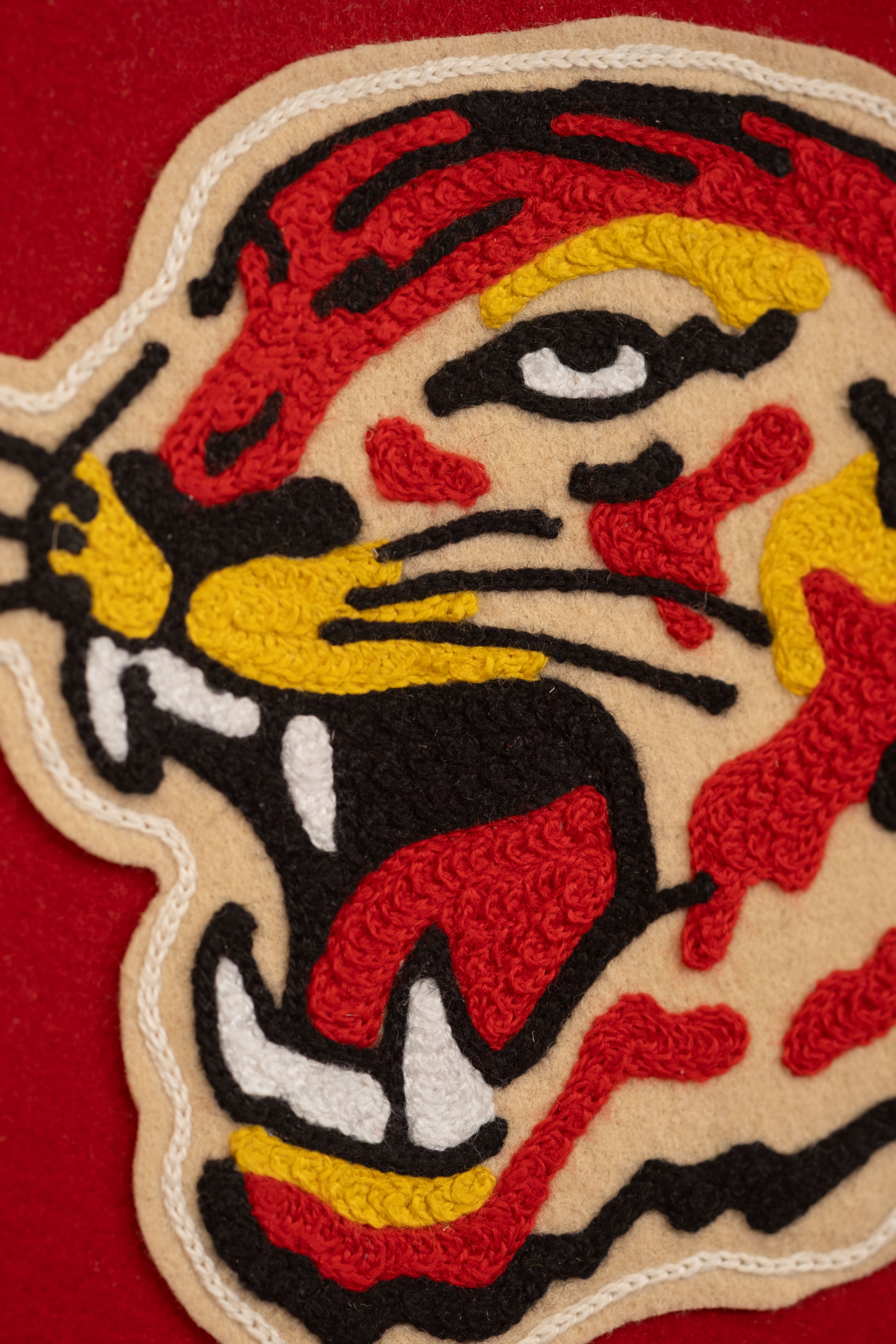 Tiger Face - Framed Embroidery